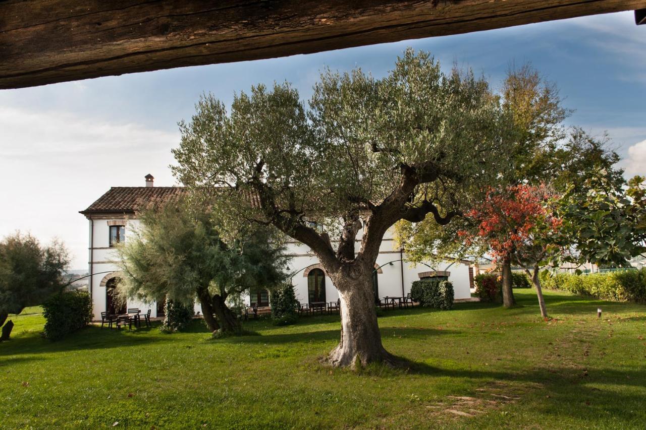 Villa Coralia Agriturismo Osimo Extérieur photo